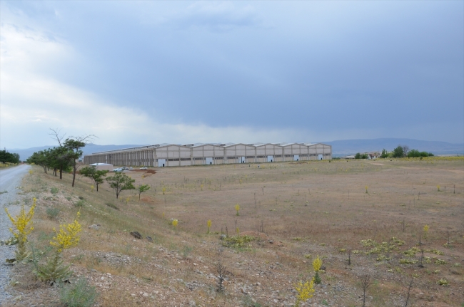 Türk Kızılay, Malatya'da barınma sistemleri üretecek